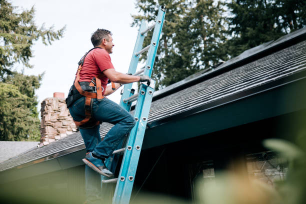 Best Solar Panel Roofing Installation  in Chadron, NE